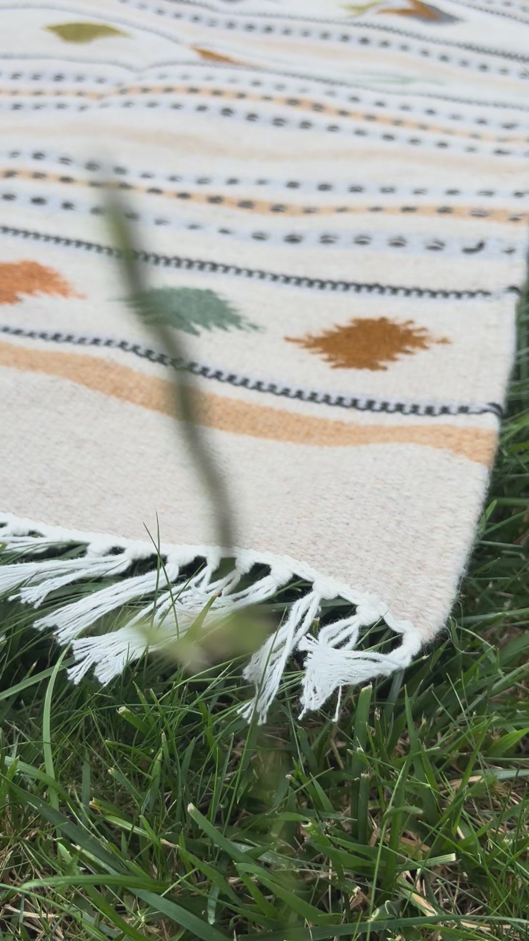Mesa Stripe Runner